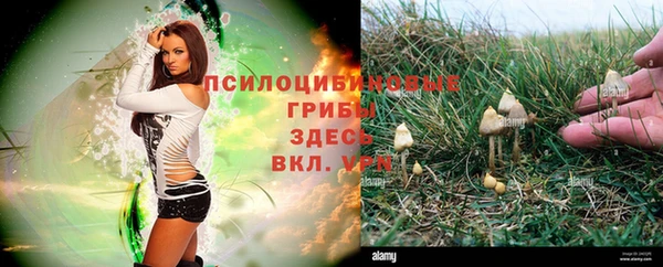 мефедрон мука Вяземский